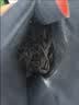 溪谷留香【入会专享】乌龙茶武夷岩茶大红袍水仙肉桂 茶叶自饮品鉴装3泡装 大红袍肉桂水仙组合（共26.7g） 实拍图