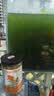吉品红金鱼饲料草金锦鲤鱼粮食小型冷水观赏鱼专用颗粒通用喂鱼料600克 实拍图