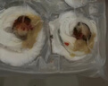 獐子岛 冷冻蒜蓉粉丝扇贝600g 18只 烧烤食材 海鲜生鲜水产预制菜 实拍图