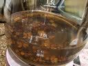 福东海麸炒赤小豆红豆薏米茶包 芡实茯苓三蒸三晒祛寒凉湿轻盈气脾胃茶 实拍图
