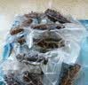 大鲜田大连有机即食海参3斤/30-48只固形物超85%辽刺参滋补礼盒源头直发 实拍图