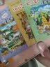 大中华寻宝记系列·儿童中国地理科普知识百科漫画书（13-16册套装共4本）（云南/河南/安徽/湖南），人文地理，漫画读物 暑假作业 一升二暑假衔接 小升初暑假衔接  实拍图