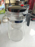 飘逸壶泡茶壶耐热高温玻璃沏茶过滤内胆冲茶器家用茶具套装 飘逸杯500mL1个 实拍图