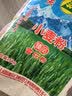 妙洁竹净周抛抹布28*22cm*13片/卷 懒人一次性洗碗厨房用巾不含荧光剂 实拍图