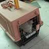 喵先生【带挂碗+垫板】宠物航空箱大号狗猫托运箱猫咪狗狗航空箱运输箱 二号 建议25斤以内 实拍图