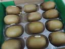 佳沛（zespri）新西兰 阳光金奇异果12粒特大果单果124-146g 猕猴桃水果礼盒 实拍图
