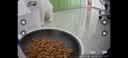 小佩宠物AI智能自动喂食器可视版2 定时定量 猫脸识别(支持鸿蒙智联) 实拍图