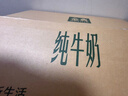 伊利【新鲜日期】金典纯牛奶早餐奶250ml*16盒3.6g乳蛋白 礼盒装  实拍图
