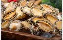 江船长冷冻鲍鱼 净重200g袋装 13-17粒 火锅烧烤食材 海鲜生鲜 中秋聚餐 实拍图