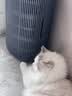 飞利浦（PHILIPS）【0.003微米精滤】空气净化器除甲醛二手烟味新房孕妇婴儿专用除螨尘病毒花粉过敏原AC4228黑 实拍图