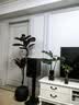 花财主天堂鸟盆栽办公室大型绿植客厅鸭脚木植物家用吸甲醛净化空气好养 橡皮树1.5-1.7m【黑色圆球盆】 实拍图