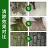 Lvbai青苔清除剂水泥地面专用青苔克星墙面苔藓藻类清洁2.6KG 实拍图