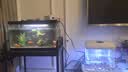 憨憨乐园鱼缸增氧泵氧气泵养鱼打氧机小型家用充氧制氧泵水族箱用品5W 实拍图