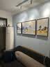 诗六艺家饰客厅装饰画北欧现代简约沙发背景墙挂画三联画大气轻奢壁画晶瓷画 背靠金山（铝合金外框） 晶瓷画左右35*50+中间70*50亮面 实拍图