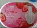 兰格格 草原酸奶 专利活菌1kg*1 生鲜低温酸牛奶 可制干噎希腊老酸奶 实拍图