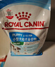 皇家狗粮幼犬成长礼盒（幼犬粮 800g+成犬粮 50g*5）小型犬 泰迪 贵宾 实拍图