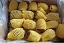 佳沛（zespri）新西兰阳光金奇异果40粒全家福 10斤原箱猕猴桃水果礼盒源头直发 实拍图