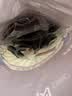 京东京造手撕风干牛肉干五香味500g内蒙特产减脂期牛肉健身代餐即食 晒单实拍图