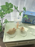 马博士婴儿牙胶磨牙胶棒小蘑菇宝宝安抚玩具防吃神器手牙咬胶3件套 实拍图