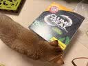 艾禾美（ARM&HAMMER）铁锤猫砂黑盒绿标28磅膨润土钠基矿石矿砂进口猫咪沙用品除臭低尘 实拍图