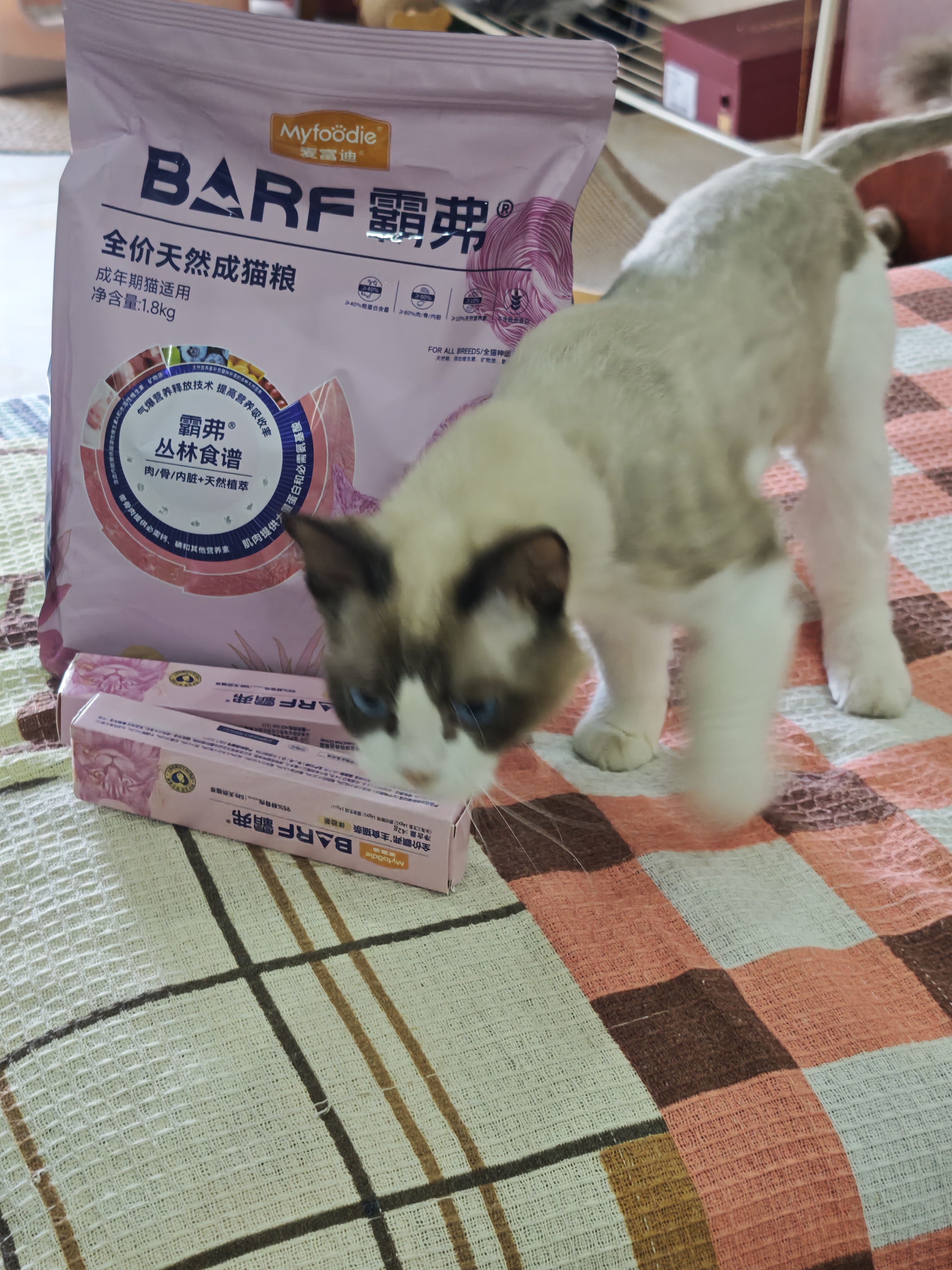 麦富迪 猫粮 barf霸弗生骨肉主食冻干双拼天然粮鲜肉营养无谷高肉高蛋白 鲜鸡肉配方|成猫粮1.8kg 实拍图