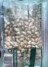 三只松鼠开心果250g/袋 无漂白每日坚果炒货休闲零食地方特产团购 实拍图