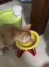 HELLOJOY猫碗陶瓷猫粮碗狗碗狗盆狗粮宠物幼猫咪吃饭食盆喝水喂食 实拍图