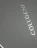 可丽金（COLLGENE）重组胶原蛋白蕴活紧致驻颜面膜   胶原大膜王20杯 七夕礼物送女生 实拍图