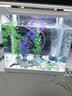 YEE鱼缸氧气泵小型鱼缸家用打充氧机养鱼循环泵增氧机4w单孔气盘 实拍图