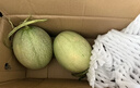 京鲜生 甘肃哈密瓜西州蜜 净重6-7斤1-2粒装 生鲜水果源头直发 实拍图