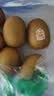 佳沛（zespri）新西兰 阳光金奇异果12粒特大果单果124-146g 猕猴桃水果礼盒 实拍图