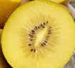 佳沛（zespri）新西兰阳光金奇异果6粒装88-103g猕猴桃水果中秋节礼品送水果礼盒 实拍图
