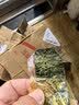 美好时光原味海苔16包共12g 寿司即食海苔片下午茶 儿童节休闲零食 实拍图