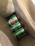 青岛啤酒（TsingTao）经典330ml*24罐 整箱装 批发 新老包装随机发 实拍图