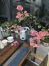 碧然德（BRITA）滤水壶滤芯 Maxtra+多效滤芯6只装 过滤器净水器滤芯 碧然德滤芯 可滤水150L 实拍图