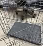 腆宠狗笼狗窝猫笼狗笼子中小型犬带厕所猫笼子大号家用室内狗围栏兔笼 实拍图