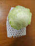 京鲜生山东新鲜包菜绿甘蓝 净重4.5斤 卷心菜甘蓝新鲜蔬菜 源头直发 实拍图