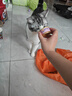 麦富迪猫罐头 barf霸弗主食猫罐头猫咪零食湿粮成幼猫呵护泌尿45g*12罐 实拍图