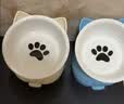 憨憨乐园猫碗陶瓷猫粮双碗斜口狗碗狗盆狗粮宠物幼猫咪吃饭食盆喝水喂食 实拍图