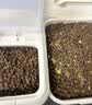 卫加鸭肉梨冻干狗粮5斤装泰迪柯基中小型成幼犬通用型犬粮2.5kg 实拍图