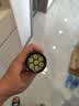 神火（SupFire）RX02手电筒强光超亮长续航远射探照灯军户外骑行专用穿天炮200000 实拍图