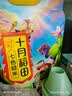 十月稻田 七色糙米 5斤 糙米饭 粗粮主食 新米 黑米 健身粥米 五谷杂粮米 实拍图