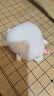 名创优品（MINISO）小八chiikawa挂件小玩偶毛绒书包挂饰生日礼物送女生正版授权 实拍图