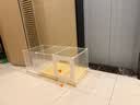 蔻丝全景兔笼子家用大空间带厕所荷兰猪豚鼠侏儒兔少越狱京东自营 实拍图