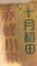 十月稻田 赤峰小米 5斤 内蒙古敖汉 小米黄小米 杂粮米 粗粮 早餐小米粥 实拍图
