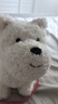babycare动物毛绒玩偶狗西高地儿童宠物玩具生日周岁礼物电子犬-可充电款 实拍图