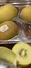 佳沛（zespri）新西兰阳光金奇异果 8个装 特大果单果重约124-146g 水果猕猴桃 实拍图