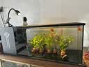 派乐特 鱼缸换水器手动洗沙器抽水泵水族箱换水管吸便器虹吸鱼缸清洁刷 实拍图