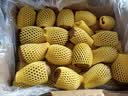 佳沛（zespri）新西兰阳光金奇异果40粒全家福 10斤原箱猕猴桃水果礼盒源头直发 实拍图