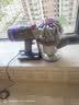 戴森（DYSON） V8无绳吸尘器 手持无线吸尘器 除螨 宠物 家庭适用 实拍图